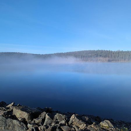 Готель Le Cedre Bleu Saint-Michel-sur-Meurthe Екстер'єр фото