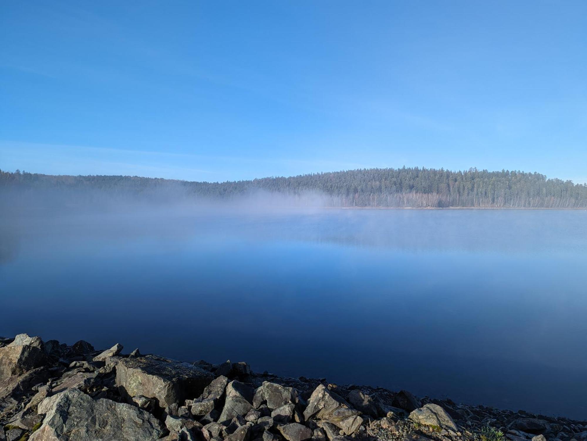 Готель Le Cedre Bleu Saint-Michel-sur-Meurthe Екстер'єр фото